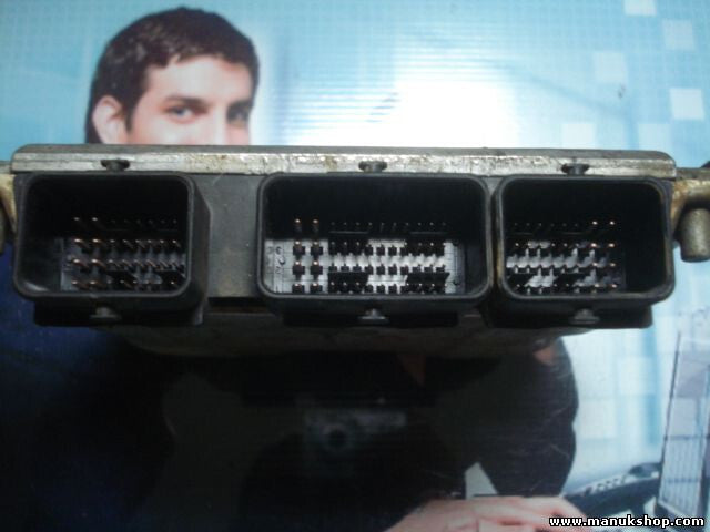 Motorsteuergerät Fiat Scudo Peugeot Expert 2.0 9650931380 1039S00000 0281011247