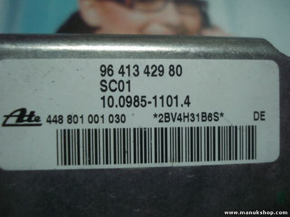 Drehratensensor ESP Peugeot 206 Citroen C5 9641342980 448801001030 10098511014