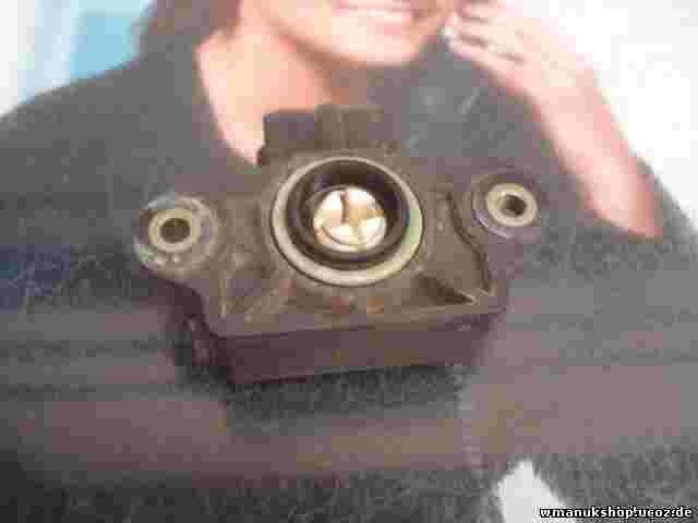 Drosselklappensensor  Renault Megane 41665