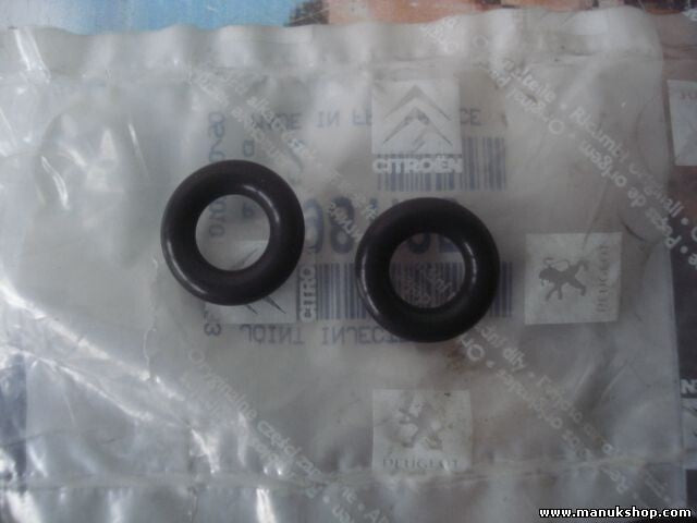Düse Dichtung Citroen Peugeot 198125 1981.25