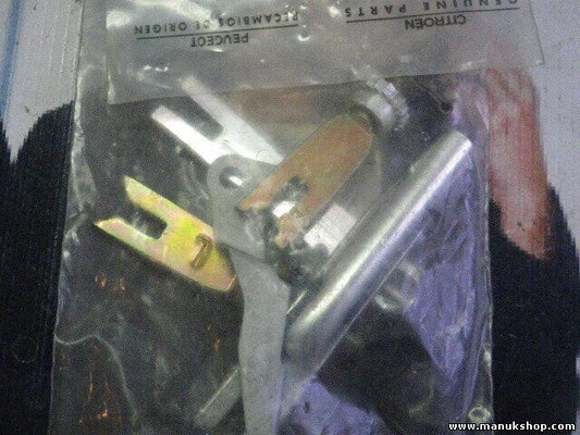 Citroen Peugeot 431079 4310.79