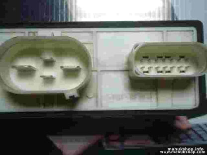 Steuergerät Elektrolüfter VW Golf 4 Audi 1J0919506K 1JO919506K SHO 898972000