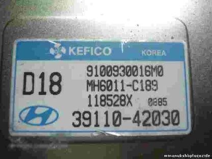 Motorsteuergerät Hyundai H-1 Starex KEFICO MH6011C189 MH6011 C189 3911042030 D18