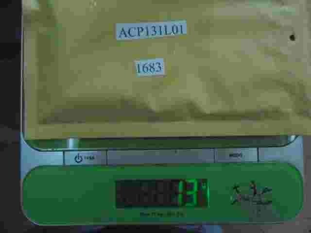 Relais 31002 CPI-12V ACP131L01 ACP131 L01