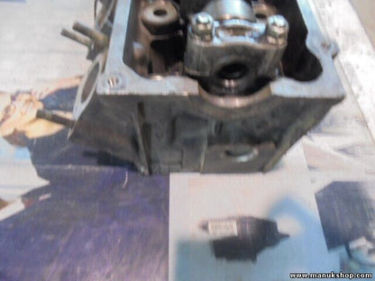 Zylinderkopf Land Rover Range Rover Lp 2.5 100 KW 256T BMW 1994-2002 2244250 04