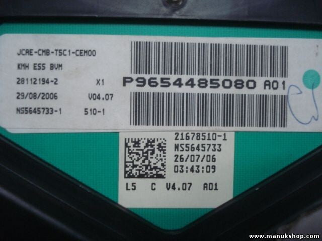 Kombiinstrument Tacho Peugeot 307 P9654485080 A01 21678510-1 NS5645733