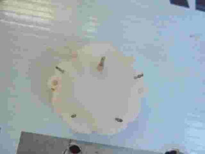 Schrittmotor Tacho Renault Master Nissan Interstar Opel Movano GTI21657327-5