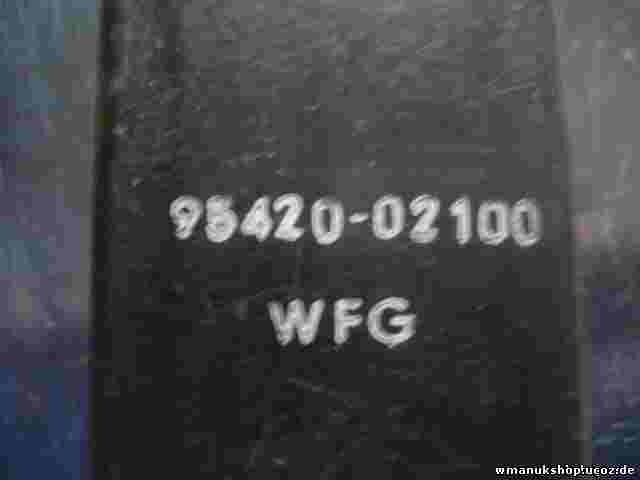 Leistungsrelais Hyundai Atos Bj 97-03 9542002100 95420-02100 WFG