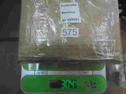 Centralita Steuergerät / Control unit / Behrens BEH9908-1