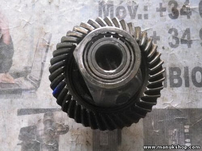 Differential vorne Jeep Wrangler TJ Jeep Grand Cherokee WJ 01181 piñón 41-9