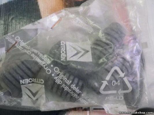 Citroen Peugeot 698379 6983.79