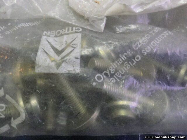 Schraube Citroen Peugeot 025070 0250.70