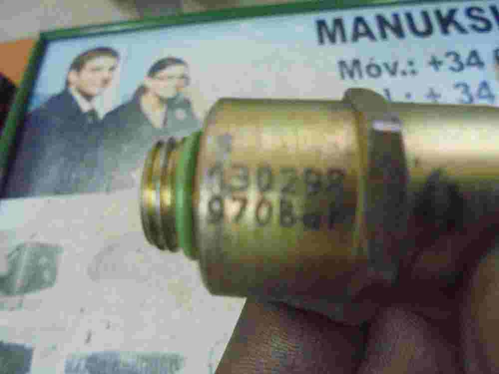 Magnetventil Einspritzpumpe VW Volkswagen Polo 1.9 D R8444B955C 130298 970 bar