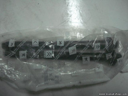 Citroen Peugeot 0240498 02404.98