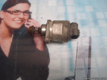 Leerlaufregelventil Jeep Grand Cherokee 53030450 3 0244