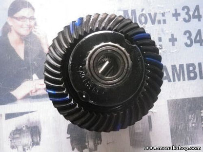 Differential hinten Hinterachsgetriebe Opel Frontera B 79096 196015641 piñón 43