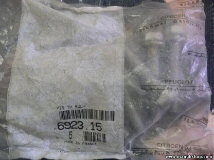 TH RDL Schraube Citroen Peugeot 692315 6923.15