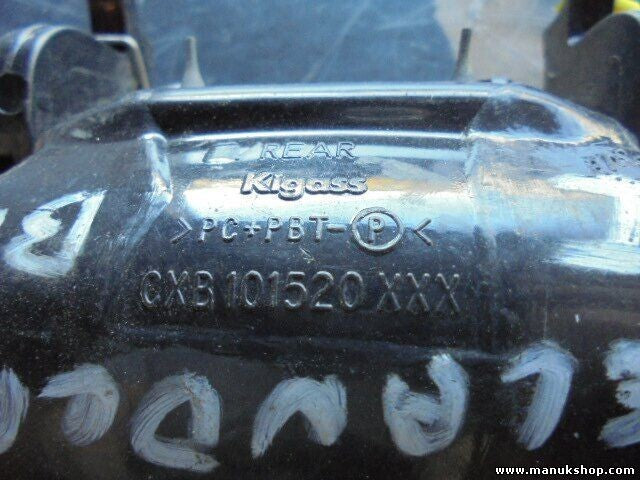 Türgriff Aussentürgriff außen hinten links Land Rover BMW CXB101520XXX