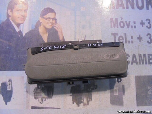 Beifahrer Renault Scenic 8200049223C N7784-CZ+P/C58 0037441500158 5508578 A2200
