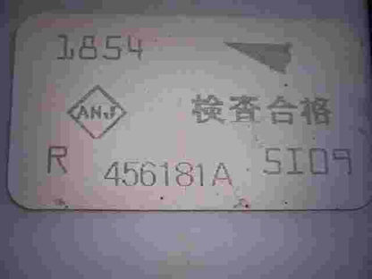 Sicherungskasten Renault Clio III 456181A 1854 5I09