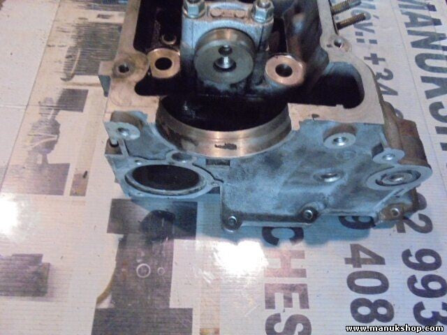 Zylinderkopf Land Rover Range Rover Lp 2.5 100 KW 256T BMW 1994-2002 2244250 04