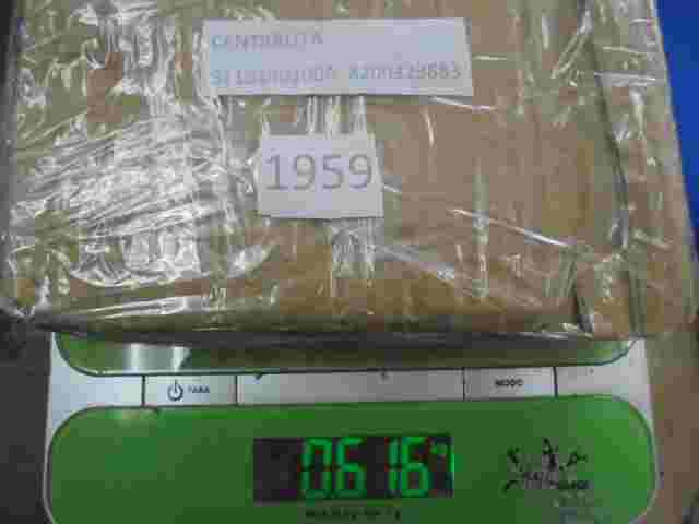 Motorsteuergerät Renault Clio 8200323683 8200272406 SIEMENS S110140200A S1101402