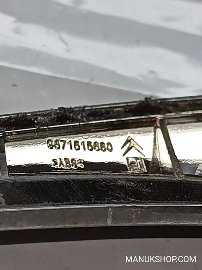 Emblem Citroen C3 9671515680 96 715 156 80