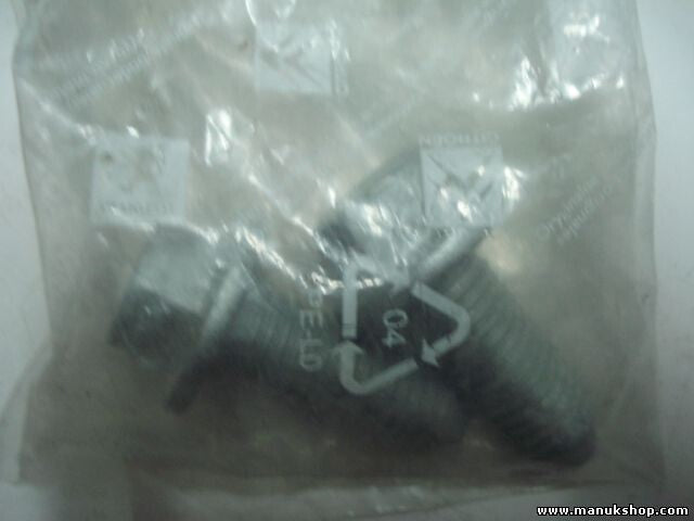 Bundschraube Peugeot Citroen 8974NA 8974 NA M12X175-32