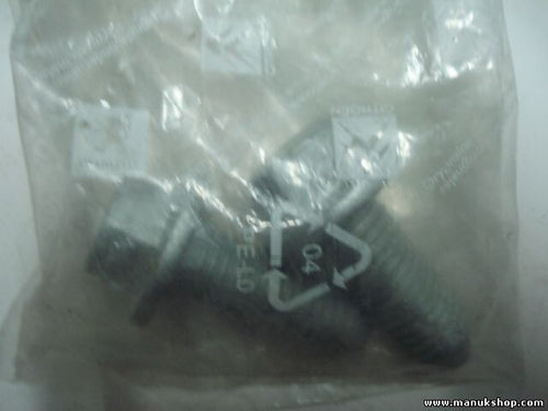 Bundschraube Peugeot Citroen 8974NA 8974 NA M12X175-32