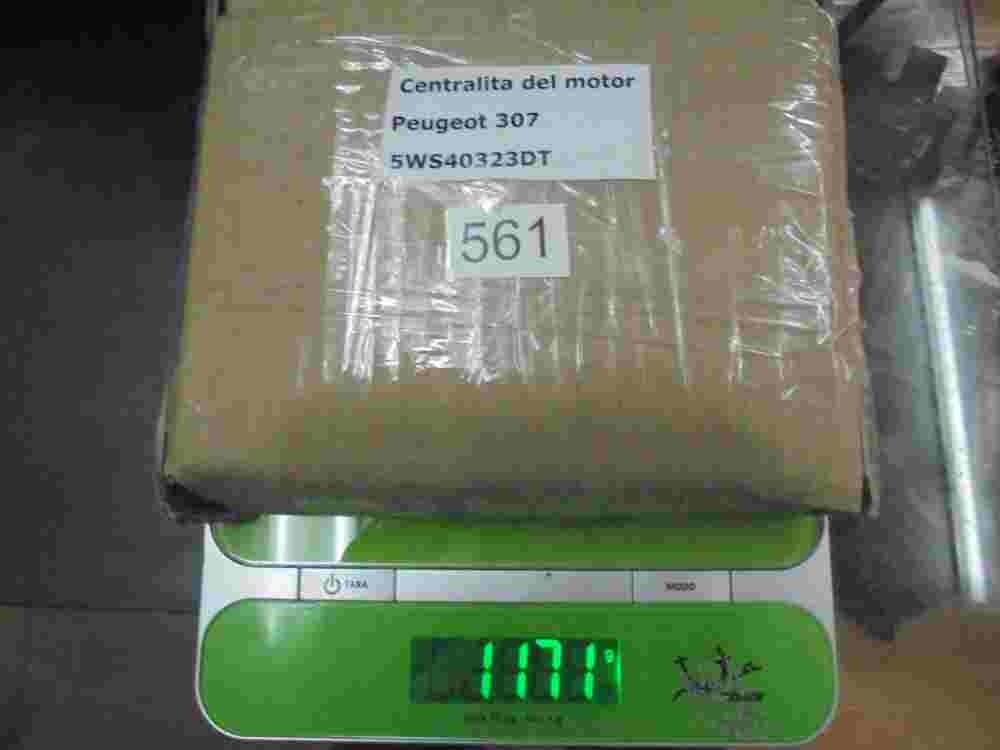 Motorsteuergerät Peugeot 307 SID803A 9663607380 SW9663607380 9655534080
