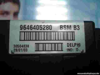 Sicherungskasten  Citroen Xsara 1.6 16V 2002 BSM B3 9646405280 DELPHI 23170936