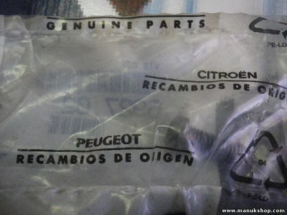 CLIP STANDARD Citroen Peugeot 699545 6995.45