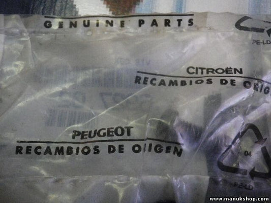 CLIP STANDARD Citroen Peugeot 699545 6995.45
