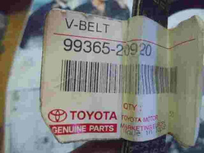 V-Ribbed Belt  Toyota 9936520920 99365-20920