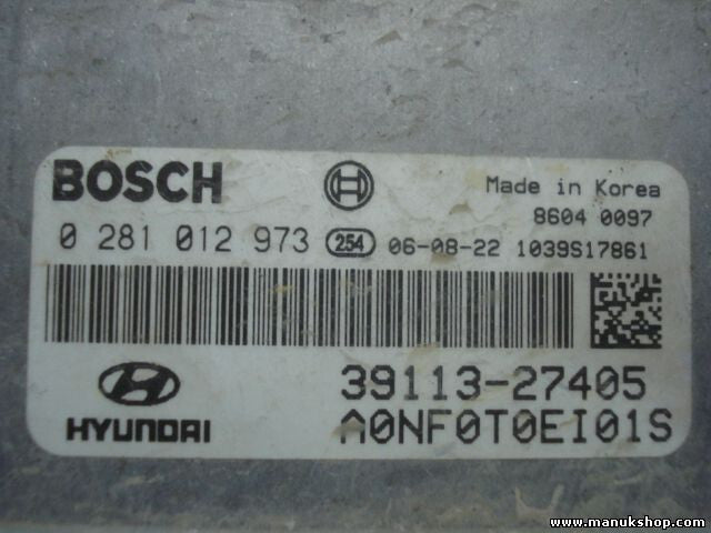 Motorsteuergerät Hyundai Sonata 3911327405 0281012973 70NF0T0EI01S 1039S14616