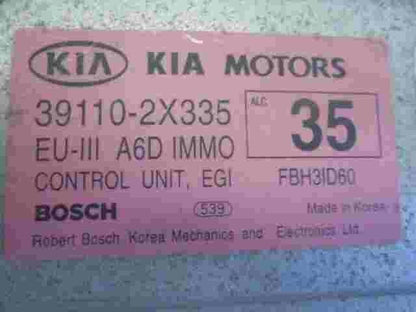 Motorsteuergerät Kia Spectra II Cerato Shuma II 391102X335 1039S03820 0261208504
