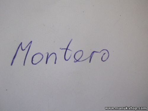 Nockenwellensensor Mitsubishi Montero Pajero 99081