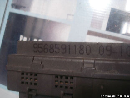 Sicherungskasten Citroen Xsara 9568591180