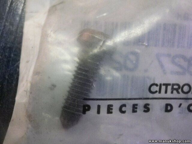 CBL Schraube Citroen Peugeot 692702 6927 02