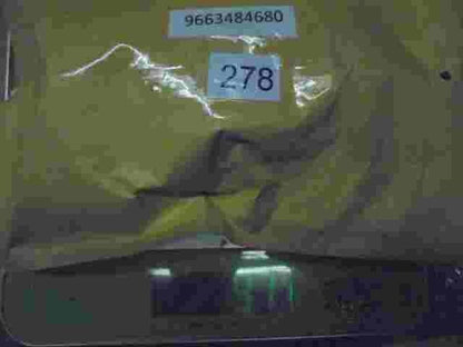 Steuergerät Peugeot 9663484680 96 634 846 80