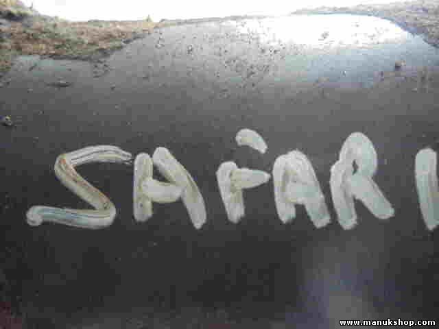 Differential vorne Tata Safari 2.2 2005-2007 3305 0109 N 33050109N piñón 41/9