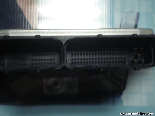Motorsteuergerät Ssangyong Rexton 2880005040 28800-05040