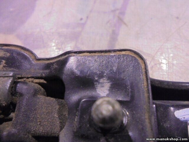 Türgriff Aussentürgriff außen hinten links Tata Safari 269973300118
