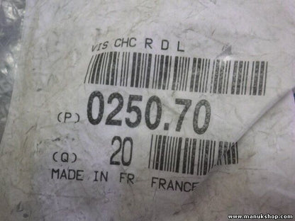 Schraube Citroen Peugeot 025070 0250.70