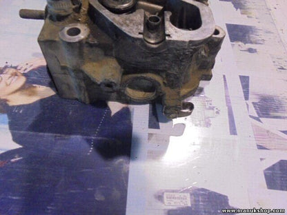 Zylinderkopf Land Rover Discovery 1 200 Defender HRC2281 LDF109930 120472294