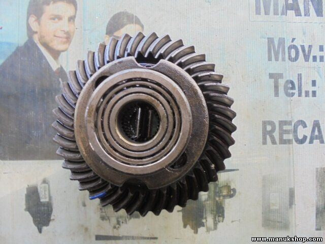 Differential hinten Hinterachsgetriebe Tata Safari 2.2 2004 0134X 3F101 piñón 41