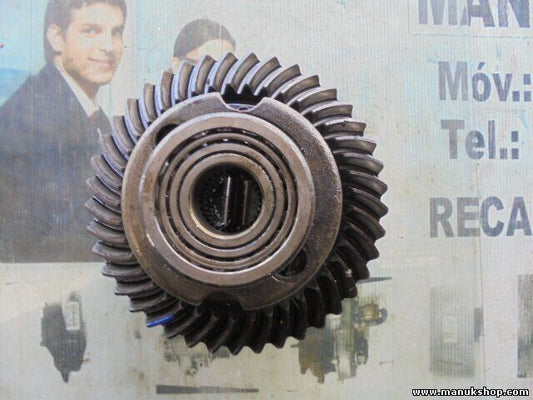 Differential hinten Hinterachsgetriebe Tata Safari 2.2 2004 0134X 3F101 piñón 41