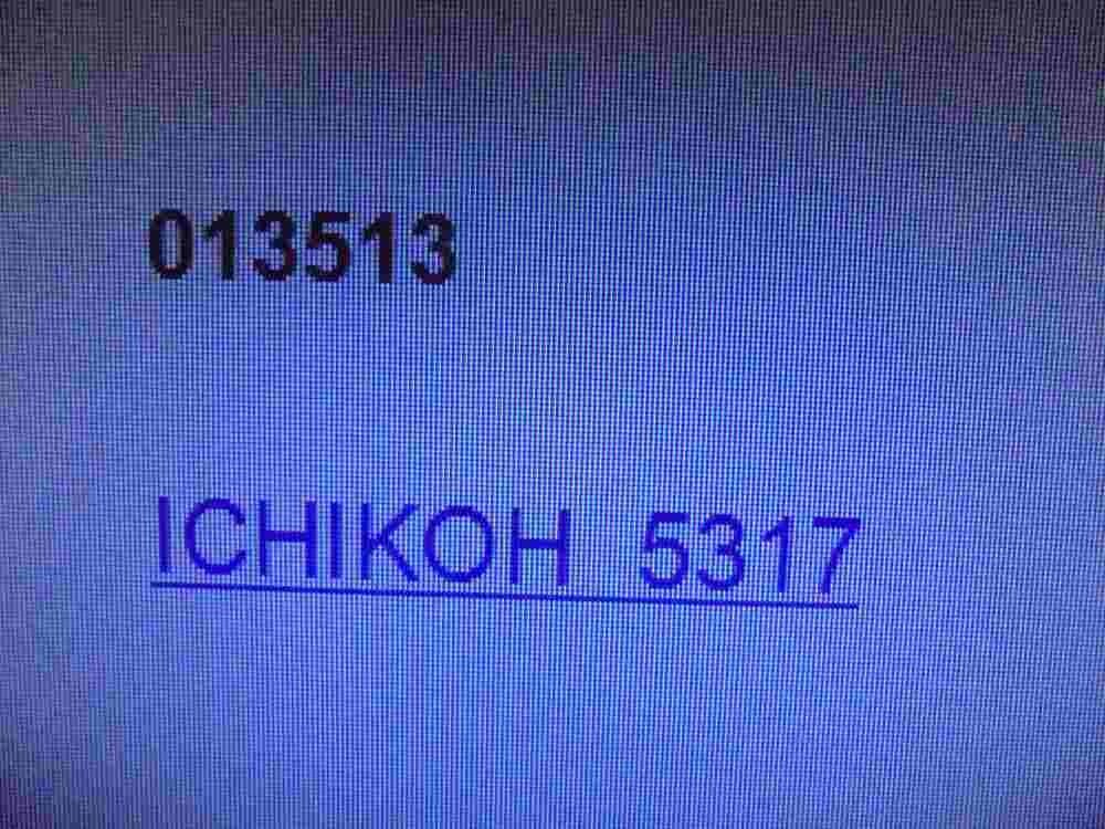 Seitenblinker Blinker Kotflügel links Nissan Navara, D22 013513 ICHIKOH 5317