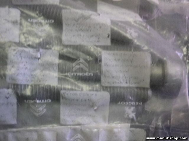 VIS CHC DIAM 8X/ Citroen Peugeot 691346 6913.46