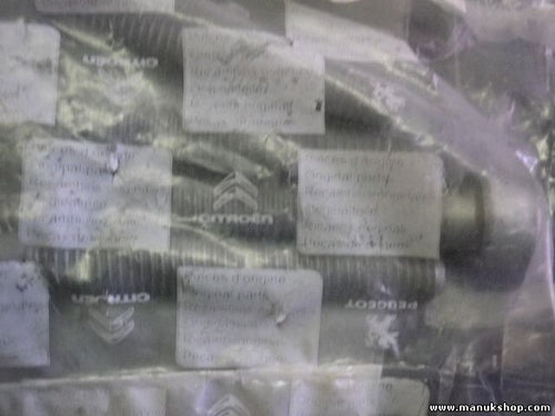 VIS CHC DIAM 8X/ Citroen Peugeot 691346 6913.46